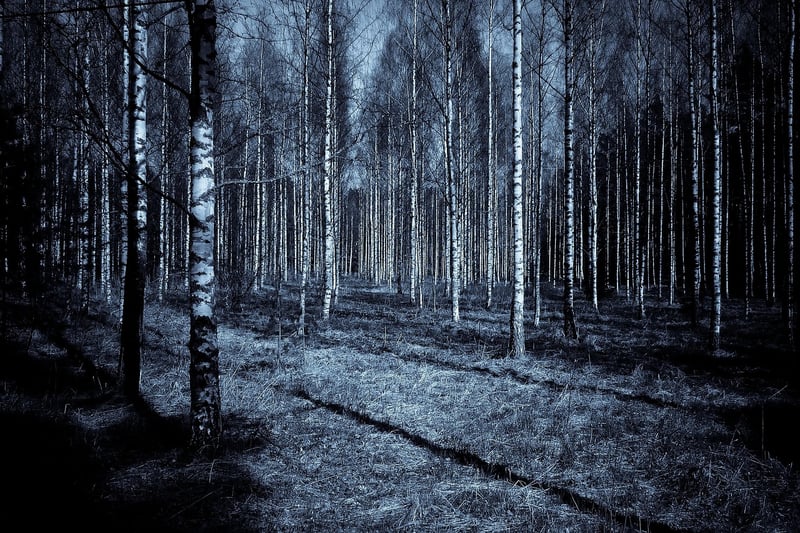 Woodland Elegance